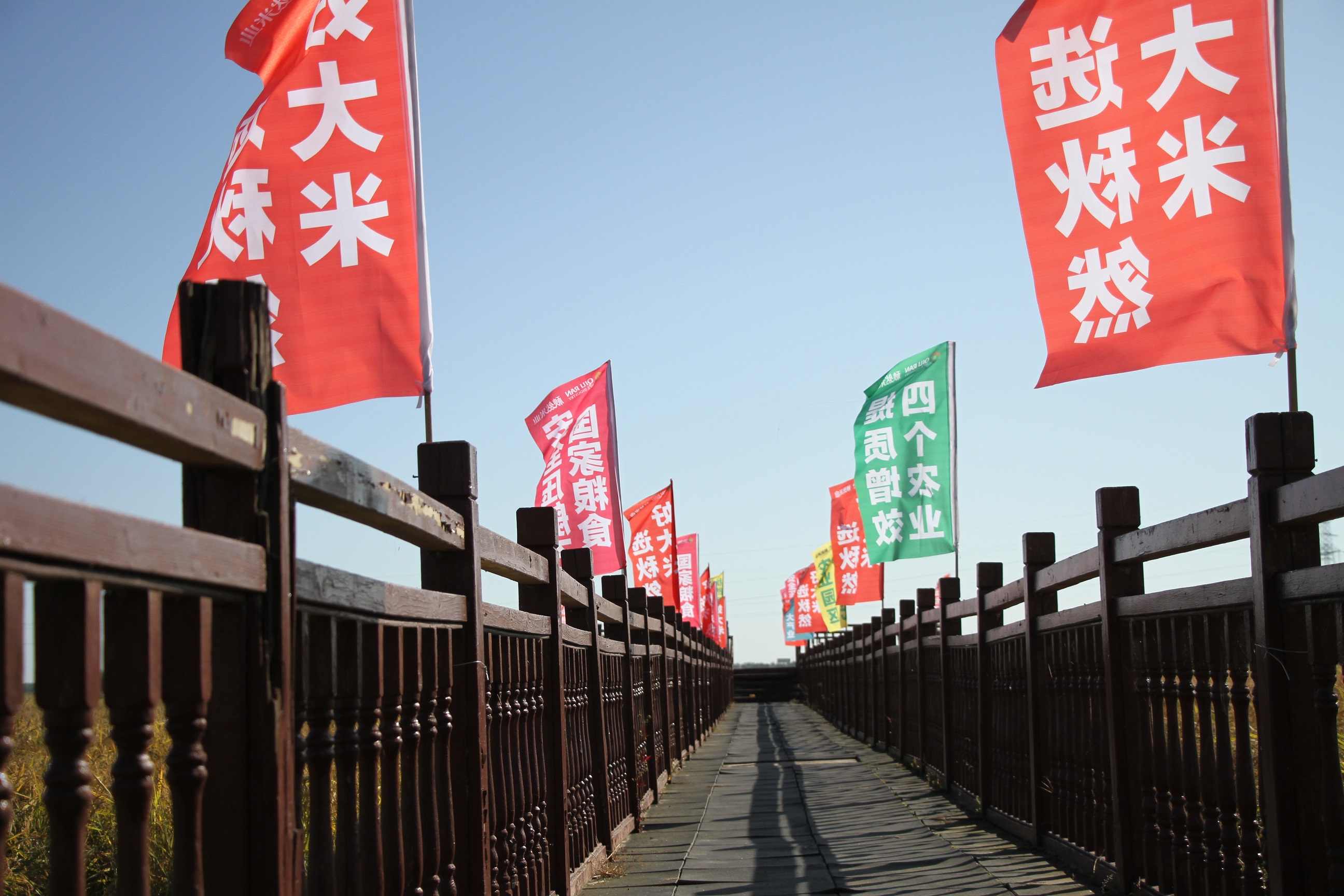 IMG_0029 - ����.JPG