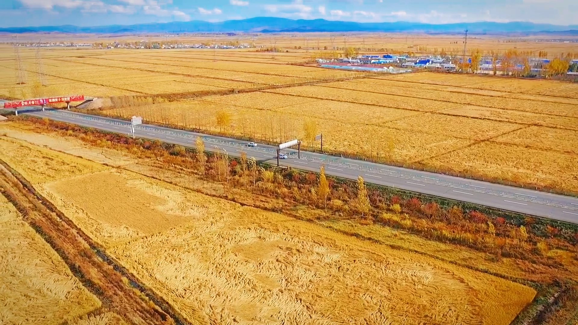 �����ṩ - frame at 1m25s.jpg