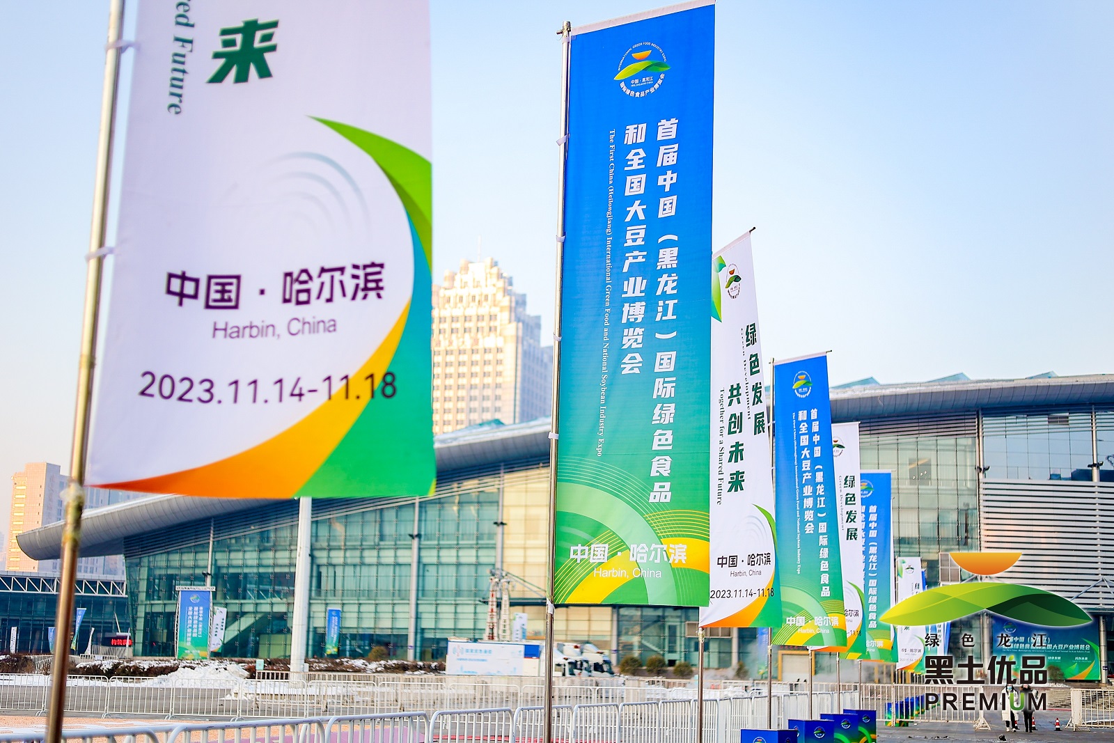 DH1A7116 - ����.JPG